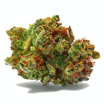 Sour Diesel-5SPDG4T4TcSO8PgLgWHO_SourDiesel_AdobeStock_171888473.jpg