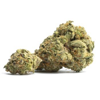 Orange Cookies-Orange-cookies.jpg