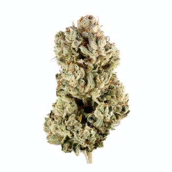 Gorilla Glue 4-gg-4.jpg